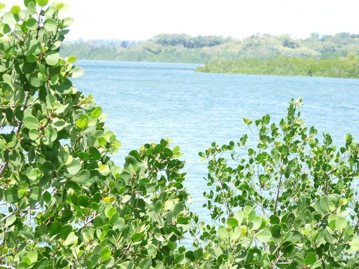 Pemba Misali Sunset Beach Wesha المظهر الخارجي الصورة
