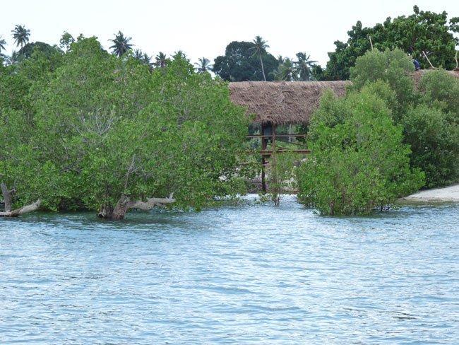 Pemba Misali Sunset Beach Wesha المظهر الخارجي الصورة